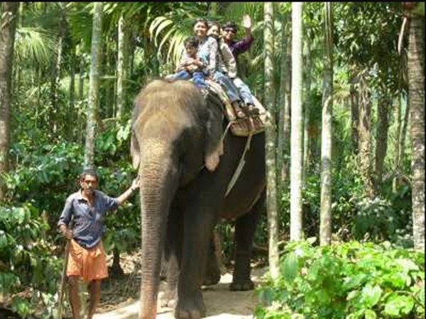 சவாரிகள்