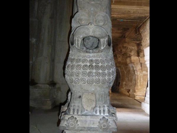  எங்கெல்லாம் பிரபலம்