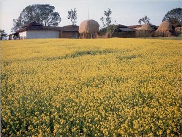 அம்பிகாபூர் அம்பிகாபூர்