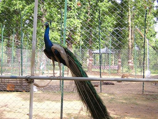 தீபாதிஹ் தீபாதிஹ்