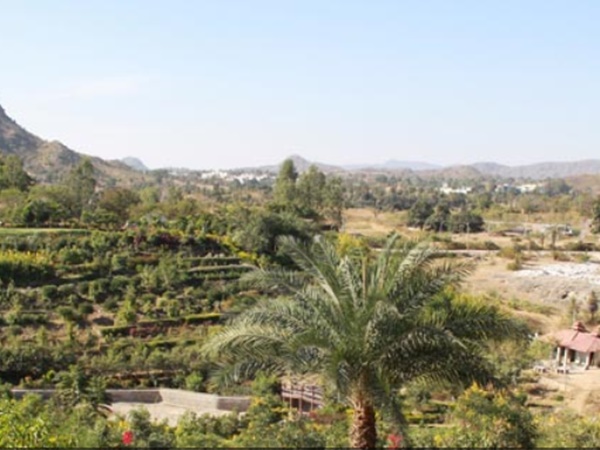  தனித்தன்மையுடைய ராசி செடிகள்