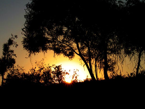 மத்தூர்: