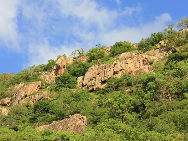 சிவ்கங்கே: