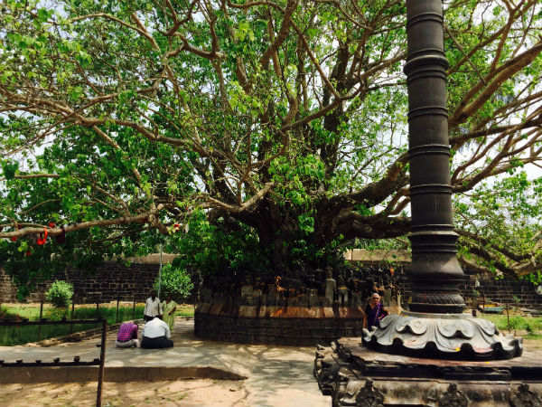 டி. நரசிப்புரா: