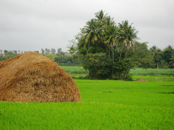 ராம நகராவிலும் ஸ்ரீ ரங்கப்பட்டினத்திலும் ஒரு சிறு நிறுத்தம்: ராம நகராவிலும் ஸ்ரீ ரங்கப்பட்டினத்திலும் ஒரு சிறு நிறுத்தம்: