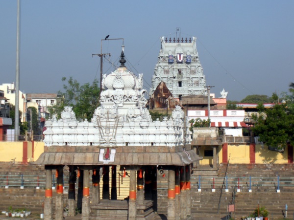 திருவல்லிக்கேணி பார்த்தசாரதி திருவல்லிக்கேணி பார்த்தசாரதி