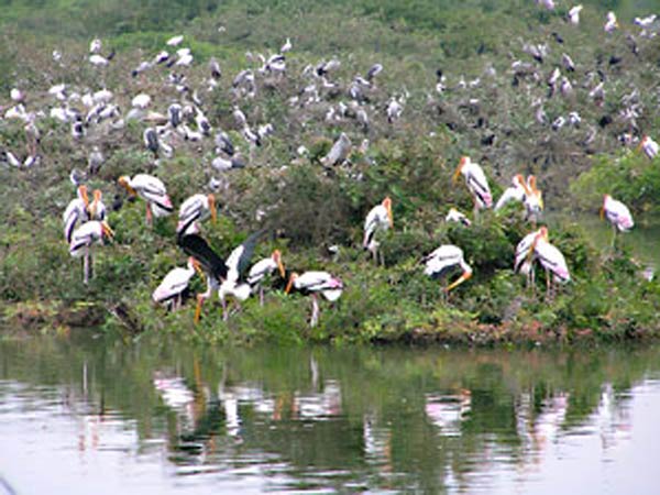 இயற்கை எழில் கொஞ்சும் ஏரி இயற்கை எழில் கொஞ்சும் ஏரி