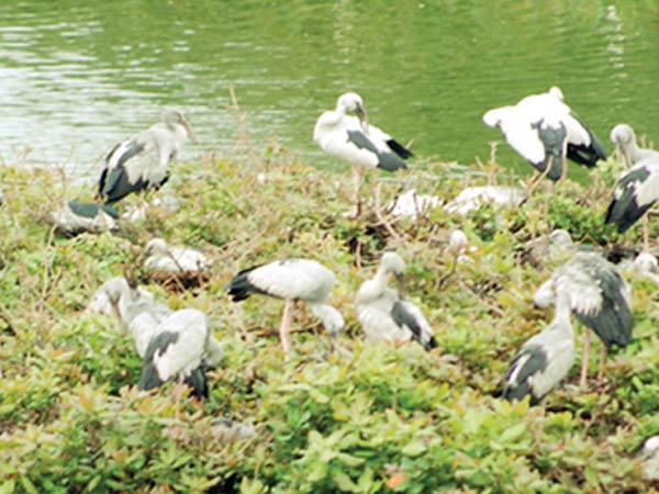 எங்குள்ளது எங்குள்ளது