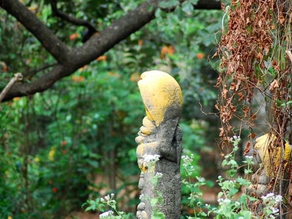  கேரளாவுக்குகந்த நாகவழிபாடு