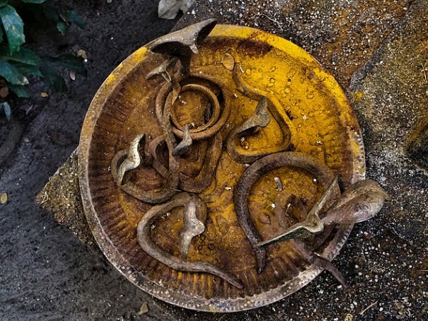  மன்னார்சாலை