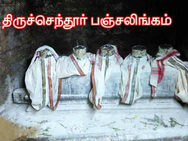 சூரனை வதைத்த சுப்ரமணியன்