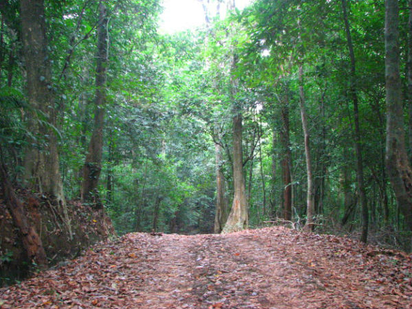 கர்நாடகவின் மான்செஸ்டர் கர்நாடகவின் மான்செஸ்டர்