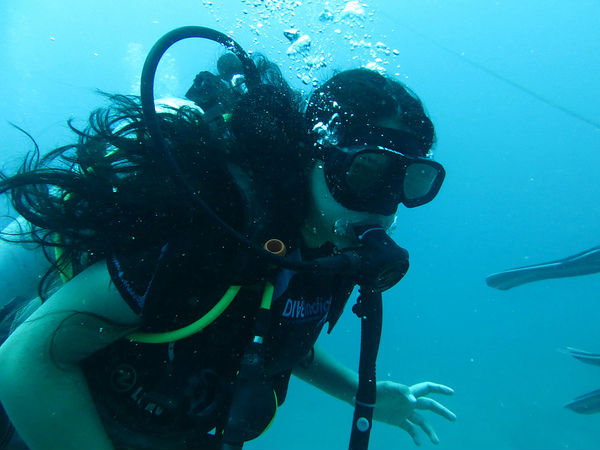  அந்தமான் நிகோபார்