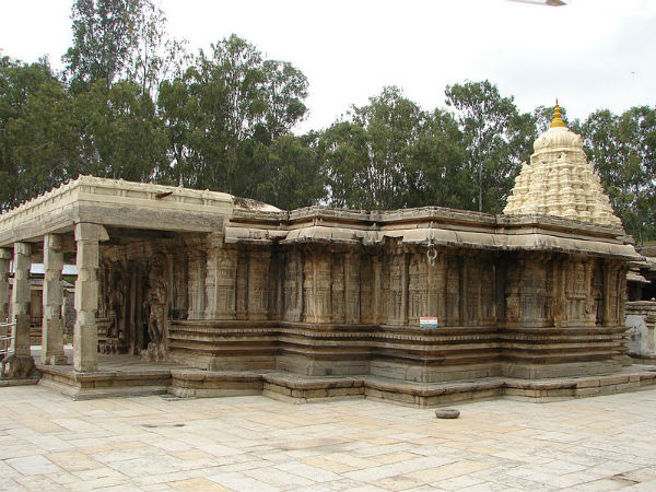 தளக்காடு: தளக்காடு: