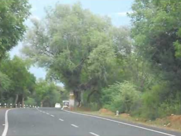 சத்தியமங்கலம் காட்டுவழிப்பாதை