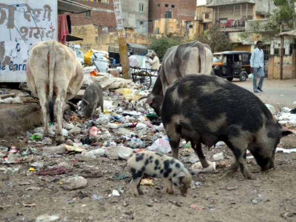 ஆரோக்கியமான