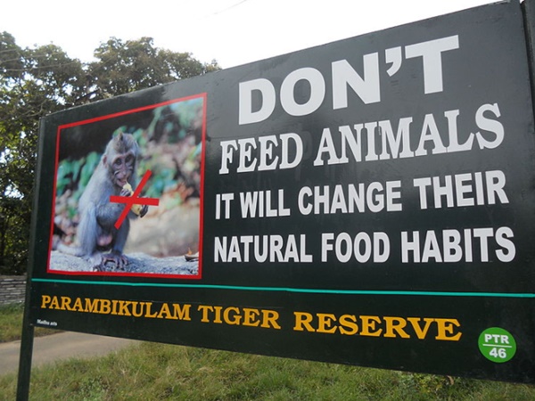 மலையேற்றம்