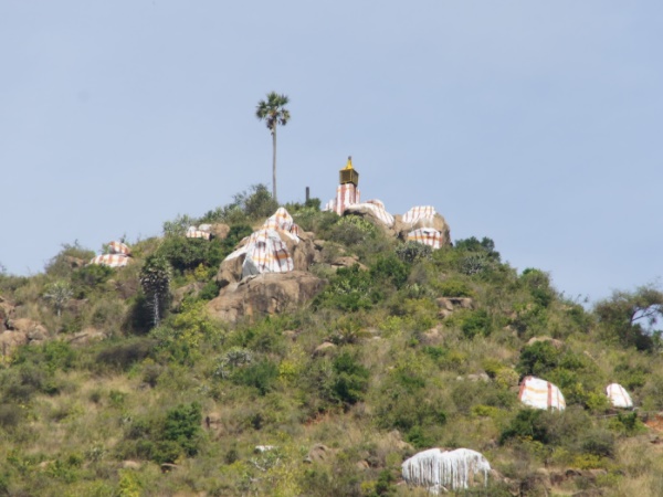 சித்தர்கள் வாழும் மலை