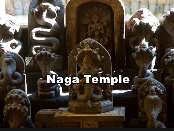 நாக கோயில்