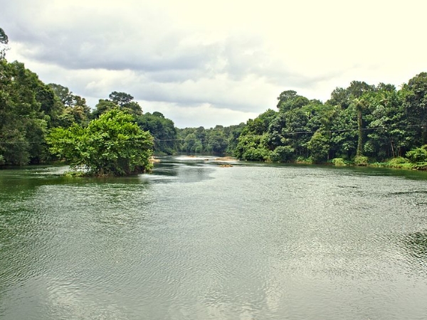 இடுக்கி