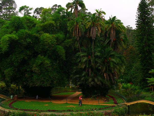 குன்னூரின் தளர்த்தலுக்கான அழகிய இடம்: