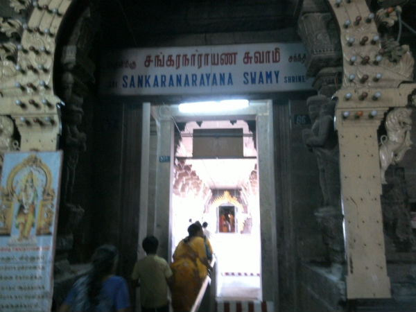 நாகதோஷம்