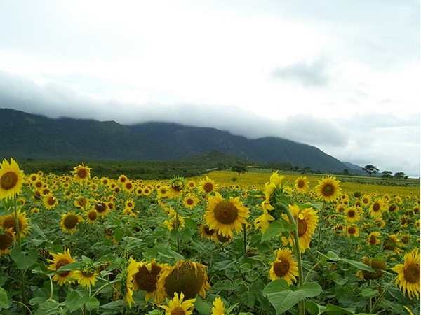  ஒரு நெடும் பயணம் உங்கள் வாழ்வை மாற்றும்