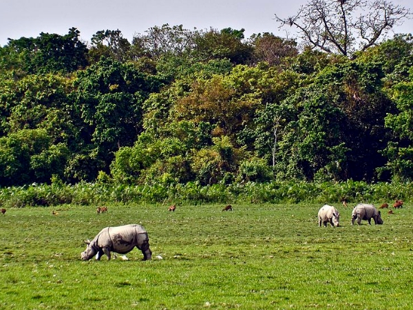  தேசிய இயற்கை பூங்காக்கள்