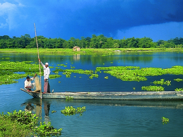 பொழுதுபோக்கு