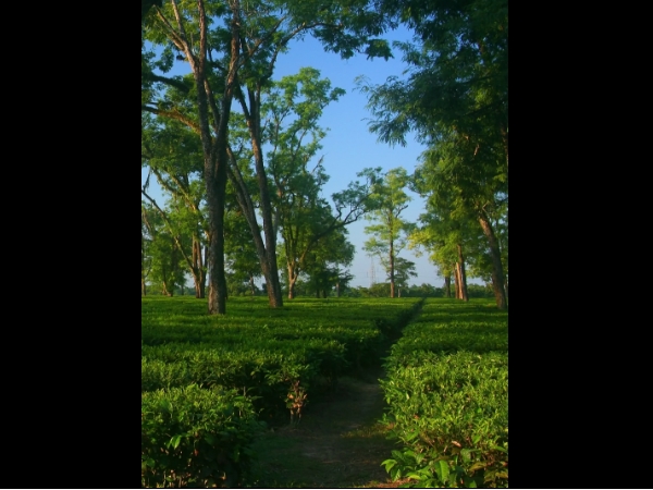  எப்படி செல்லலாம்?