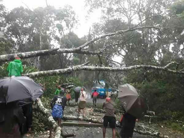 உப்பளம் பாதிப்பு