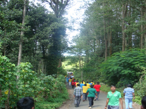 டிரெக்கிங்