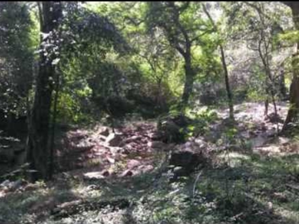 வகைகள் அல்லது பிரிவுகள்