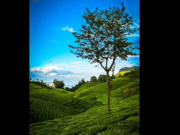 குன்னூர் 