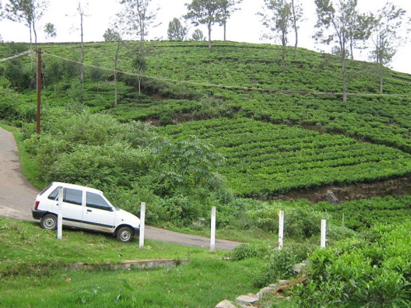 கோத்தகிரி