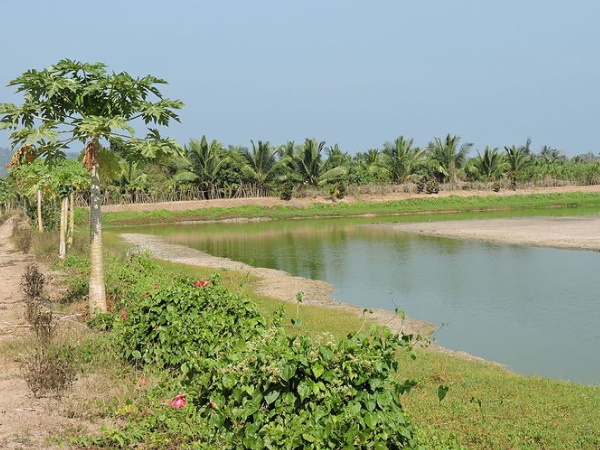 கடற்கரை கிராமங்கள் கடற்கரை கிராமங்கள்