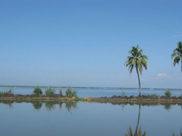 ஆலப்புழா கடற்கரை