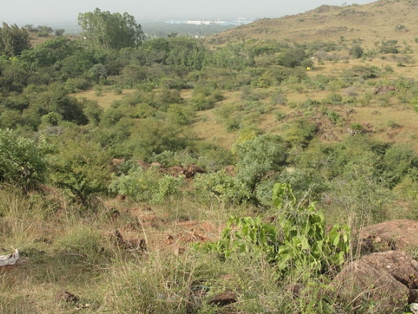 கஞ்சமலை ஒரு மருத்துவ ஆய்வுக் கூடம்