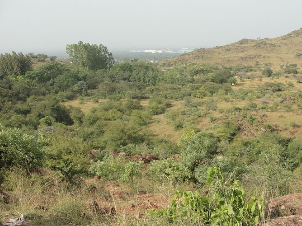 தங்கம் பொதிந்துள்ள மலை தங்கம் பொதிந்துள்ள மலை