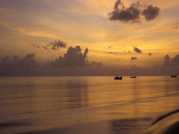 இந்தியாவிலிருந்து இலங்கைக்கு 