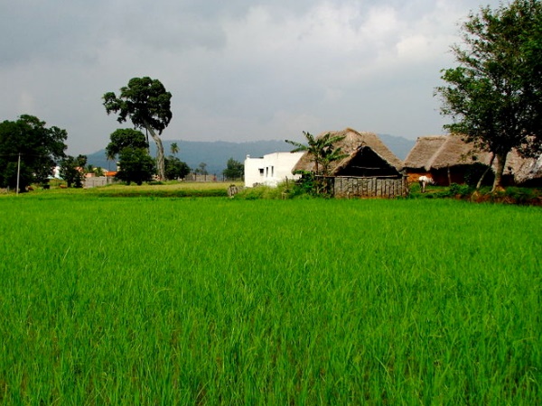 ஏலகிரி ஏலகிரி