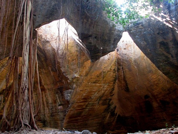 கடற்சிப்பி அருங்காட்சியகம்
