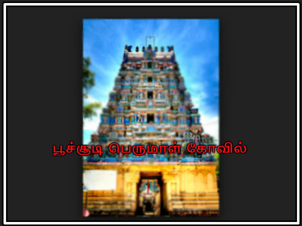  பூச்சூடி பெருமாள் கோவில்
