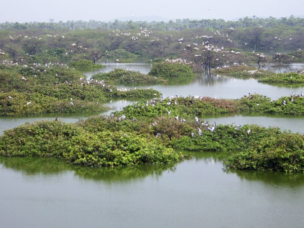  வேடந்தாங்கல்