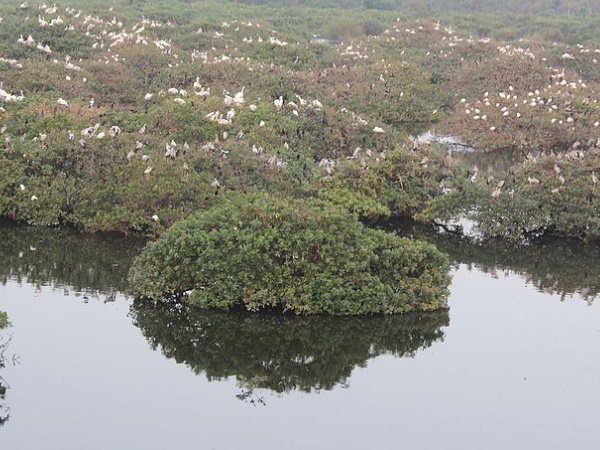  ஏரிகள் பறவைகள் சரணாலயம்