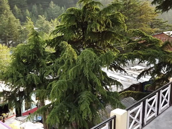 விளையாட்டுக்கள்