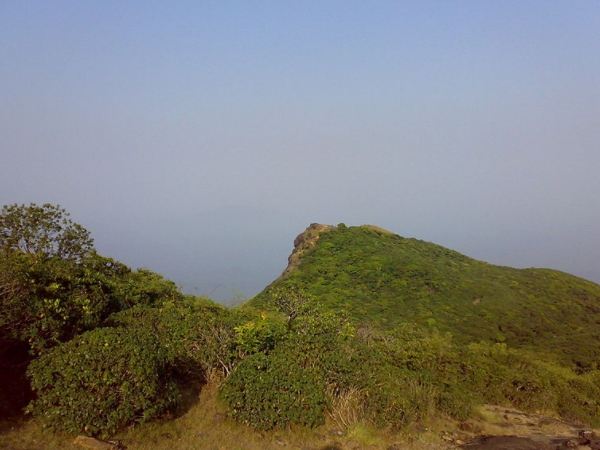 புஷ்பகிரி காட்டுயிர் புஷ்பகிரி காட்டுயிர்