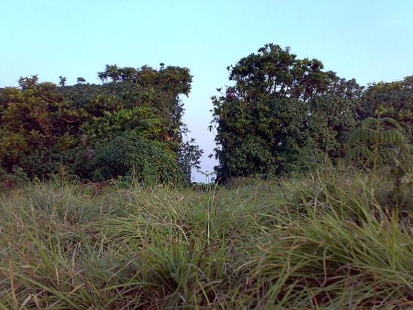 சாந்தமல்லிகார்ஜுனா கோயில் சாந்தமல்லிகார்ஜுனா கோயில்