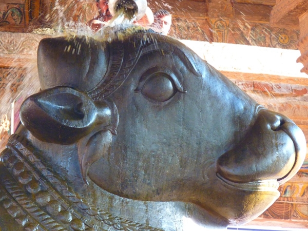 இந்தியாவின் மிகப்பெரிய நந்தி இந்தியாவின் மிகப்பெரிய நந்தி