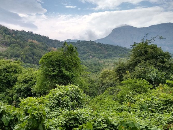  தோற்றம்